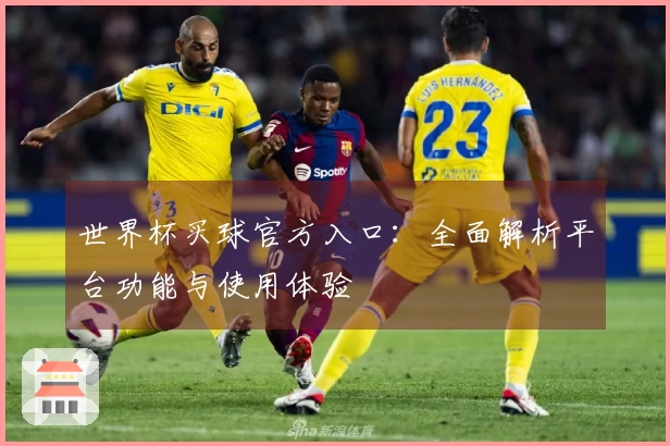 世界杯买球官方入口：全面解析平台功能与使用体验