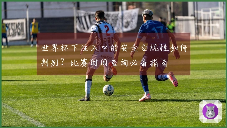世界杯下注入口的安全合规性如何判别？比赛时间查询必备指南