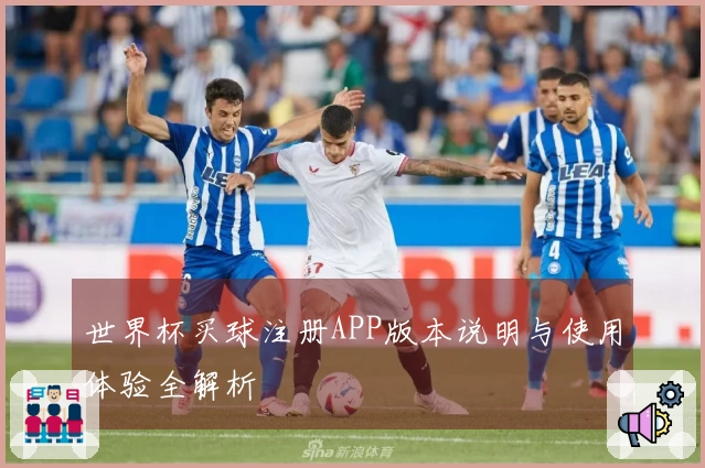 世界杯买球注册APP版本说明与使用体验全解析