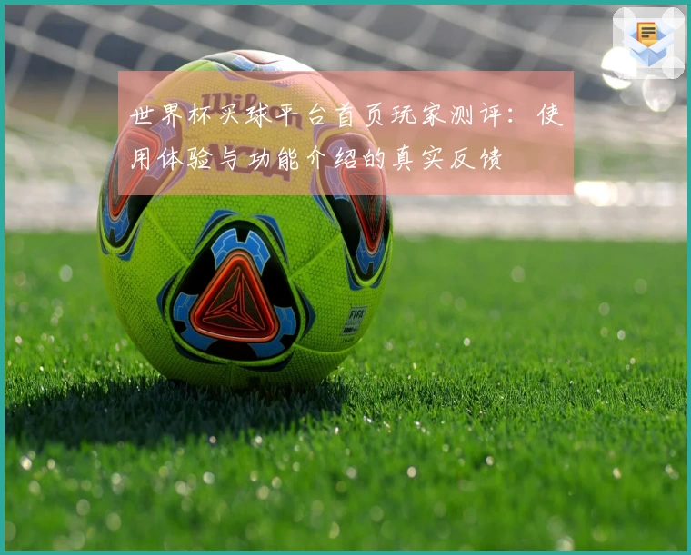 世界杯买球平台首页玩家测评：使用体验与功能介绍的真实反馈