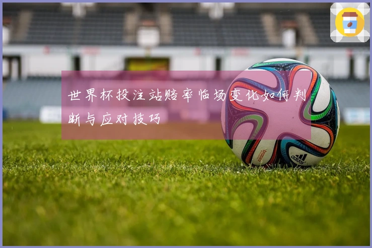 世界杯投注站赔率临场变化如何判断与应对技巧