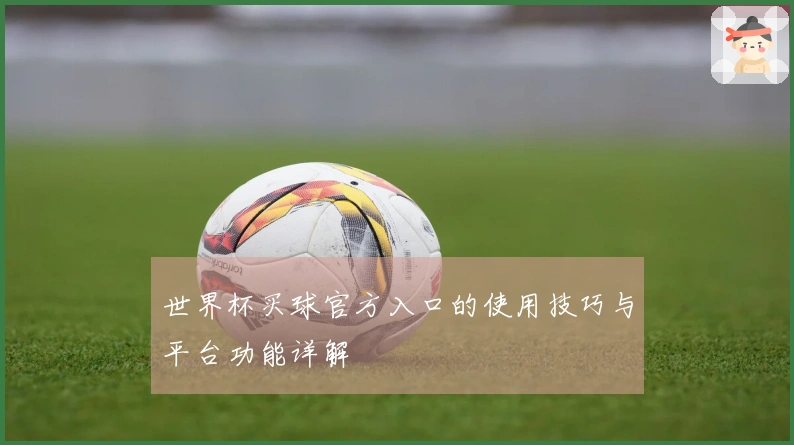 世界杯买球官方入口的使用技巧与平台功能详解