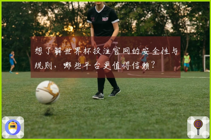 想了解世界杯投注官网的安全性与规则，哪些平台更值得信赖？