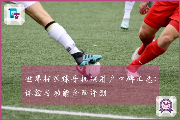 世界杯买球手机端用户口碑汇总：体验与功能全面评测