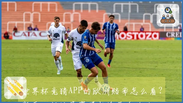 世界杯竞猜APP的欧洲赔率怎么看？新手入门注意事项与选平台攻略