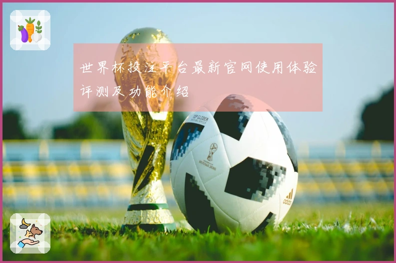 世界杯投注平台最新官网使用体验评测及功能介绍